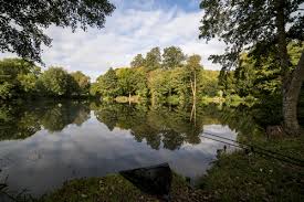 Image result for Bathampton Angling Association