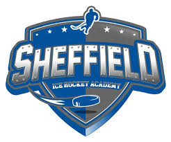 Image result for Sheffield Scimitars