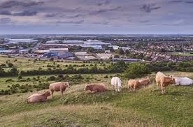 Image result for Dunstable