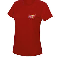 Image result for Capricorn Netball Club