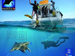 Image result for Manta Divers Sub-Aqua Club