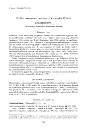 Attēlu rezultāti vaicājumam “Conardia compacta”