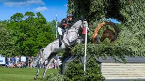 Image result for Towneley Rossendale Badminton Club