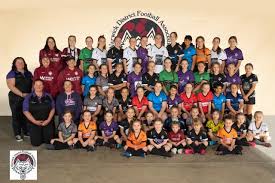 Image result for Warwick Wolves