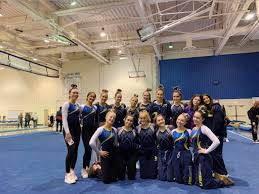 Image result for Wyre Forest School Of Gymnastics