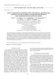 Attēlu rezultāti vaicājumam “Perichaena corticalis spores”