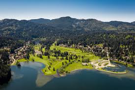 Image result for Bellingham Golf Club