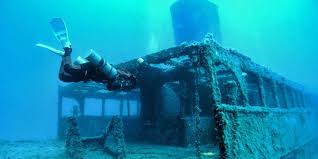 Image result for Splash Divers Sub Sub Aqua Club