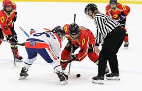 Image result for Streatham Night Wolves Ice Hockey Team