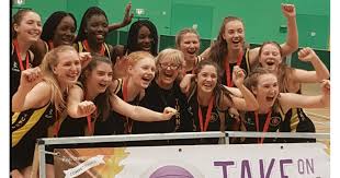 Image result for Twinkles Netball Club