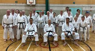 Image result for Levern Tora-Kai Karate Club