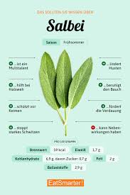 Image result for Salbei