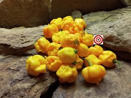 Afbeeldingsresultaat voor 7 pot hot pepper