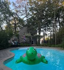 Image result for Calverton Swimming Club