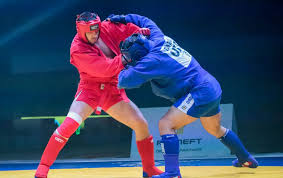 Image result for Combat Sambo