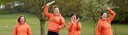 Image result for Cambridge Area Mixed League rounders