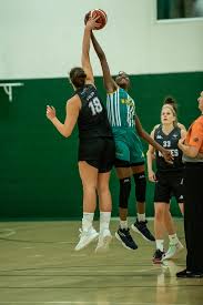 Image result for Nottingham Wildcats