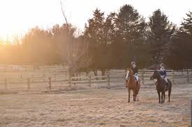 Image result for Annandale Equestrian Centre