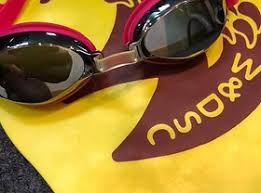 Image result for Wareham and Purbeck Badminton Club