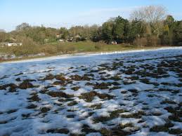 Image result for West Chiltington & Thakeham Cc