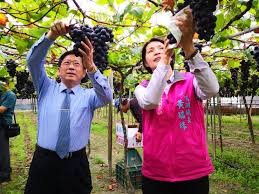 Image result for 2001早春