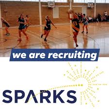 Image result for Sparks Netball Bristol