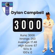 Image result for South Nutfield Cricket Club