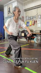 Image result for Chat Ying Kuen Kung Fu Club
