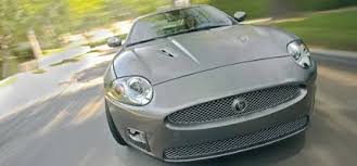Image result for Silver Fox 2008 Jaguar