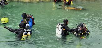 Image result for Eltham and District Sub Aqua Club