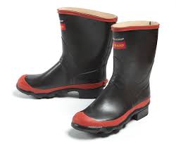 Image result for Gumboots