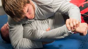 Image result for Wolverine MMA