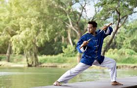 Image result for kung fu