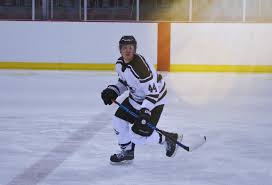 Image result for Streatham Night Wolves Ice Hockey Team