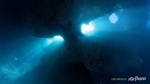Image result for Blue Water Diving