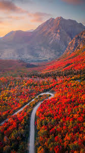 Image result for $$fall_akte__ort$$