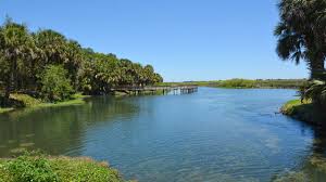 Attēlu rezultāti vaicājumam “Diarsia florida”