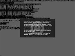 Image result for kernel panic snow leopard