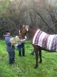 Sacramento Bee -- Sacto 9-