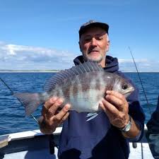 Image result for Paignton Sea Anglers Association