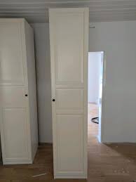 Image result for pax birkeland