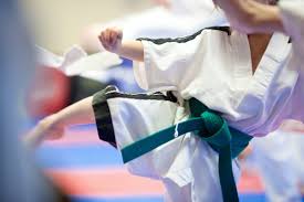 Image result for Surrey Taekwondo