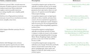 Attēlu rezultāti vaicājumam “Hadula trifolii larva”