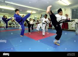 Image result for Swindon Tagb Tae Kwon Do School
