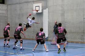 Image result for Liphook Tchoukball Club