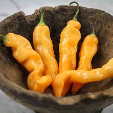 Afbeeldingsresultaat voor peach habanero hot pepper