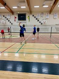 Image result for Henfield Dist Badminton Club