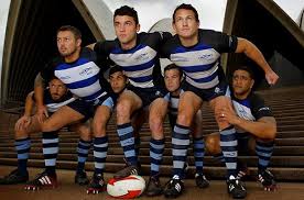 Image result for Bingham Rugby Union Football Club
