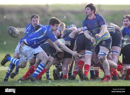 Image result for Diss Rugby Football Club