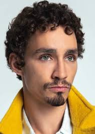 Image result for Robbie Sheehan
